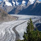 Riederalp Aletschgletscher 16 09.07. 4