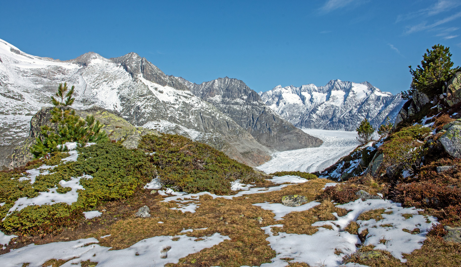 Riederalp Moosfluh Grosser Aletschgletscher