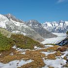 Riederalp Moosfluh Grosser Aletschgletscher