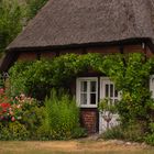 Riedhaus auf Fischland-Darß