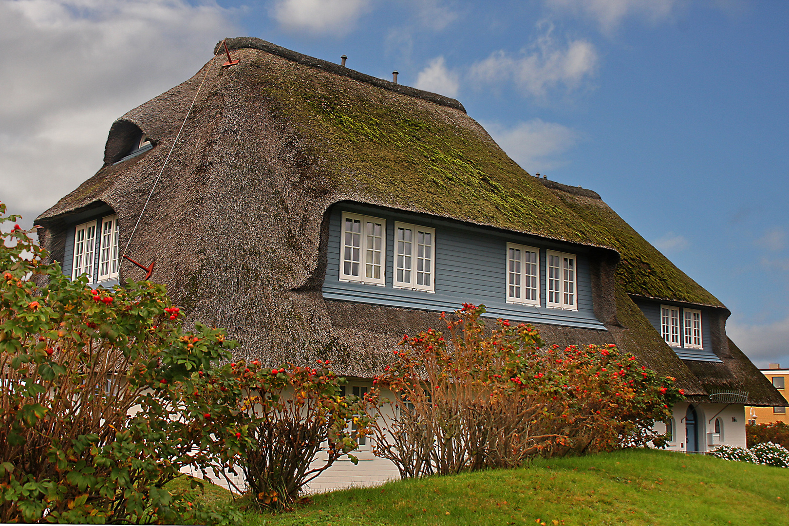 Riedhaus auf Sylt