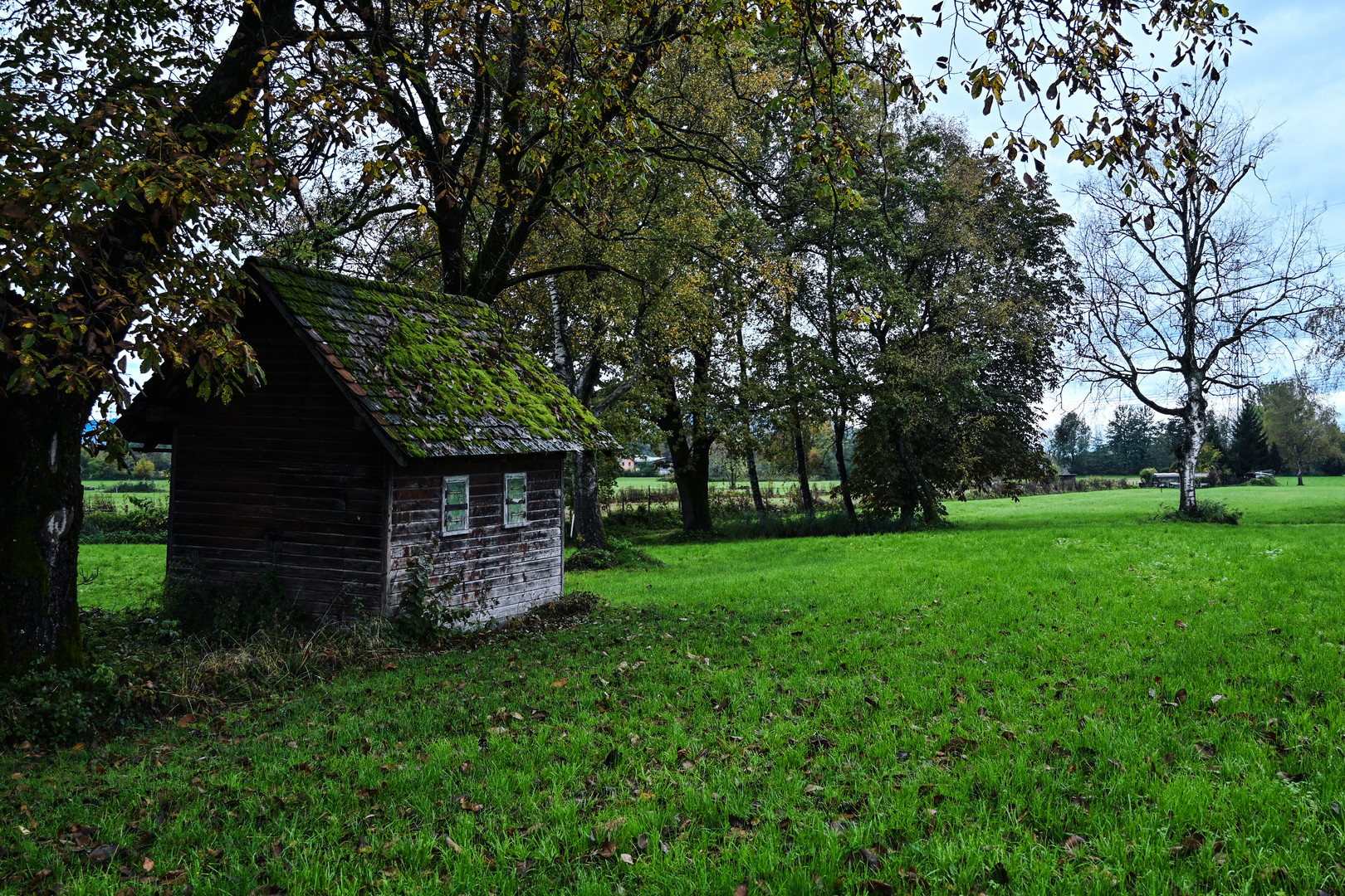 Riedhütte in Vorarlberg