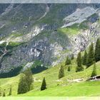 Riedingalm am Hochkönig