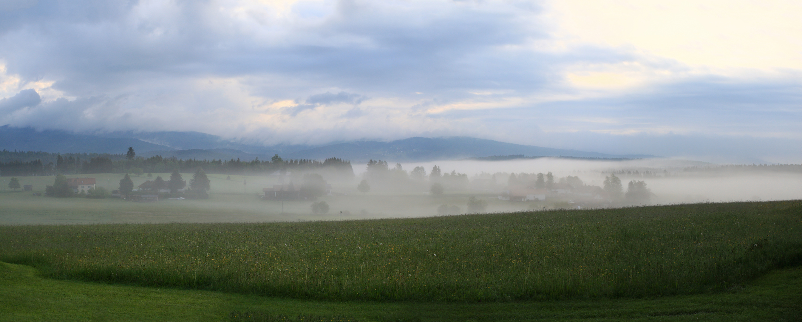 Riedlhütte im Nebel