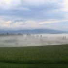 Riedlhütte im Nebel