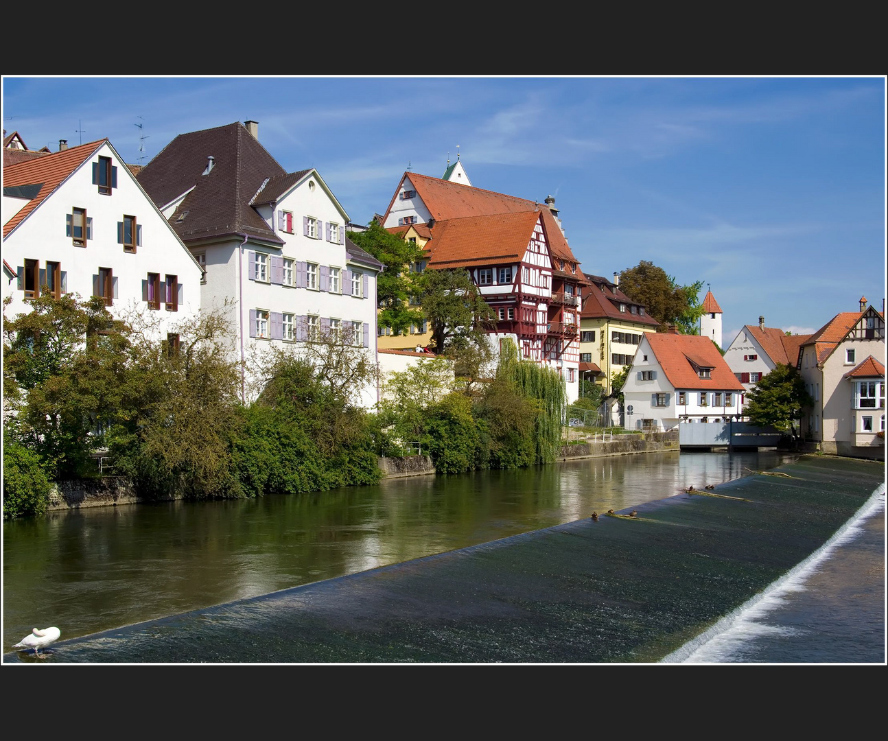 > Riedlingen - Stadt an der Donau 