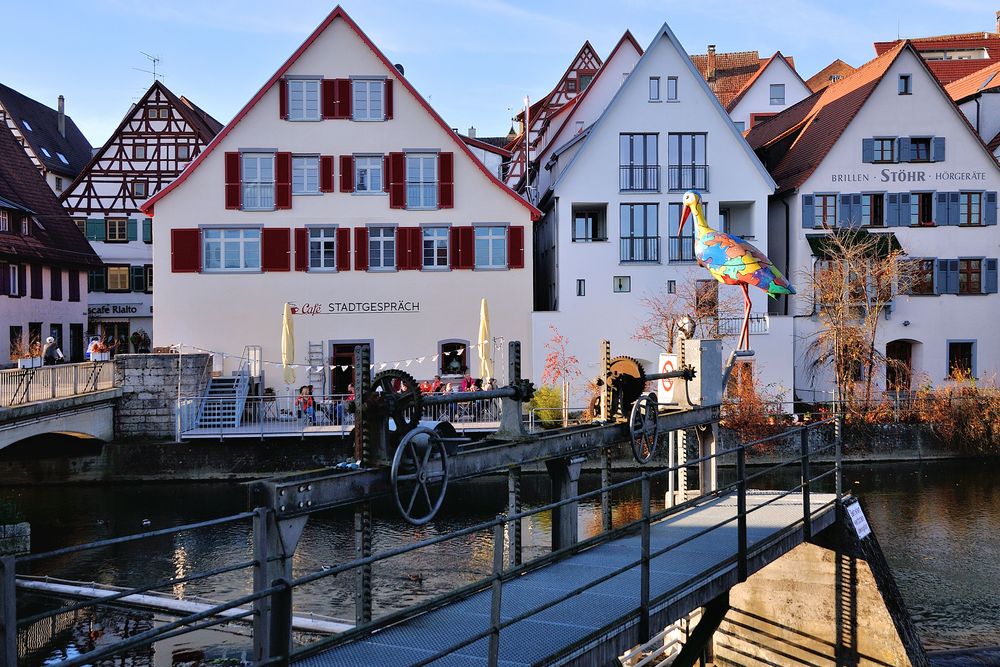 Riedlingen - Stadtgespräch Foto & Bild | deutschland, europe, baden