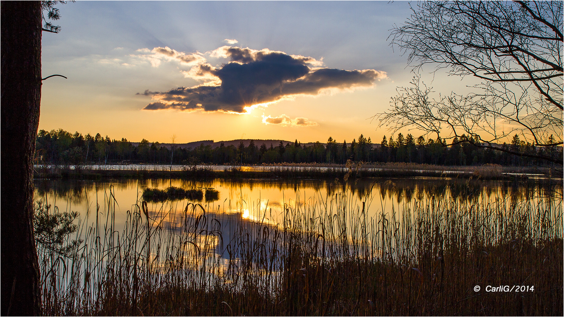 Riedsee 16.04.14