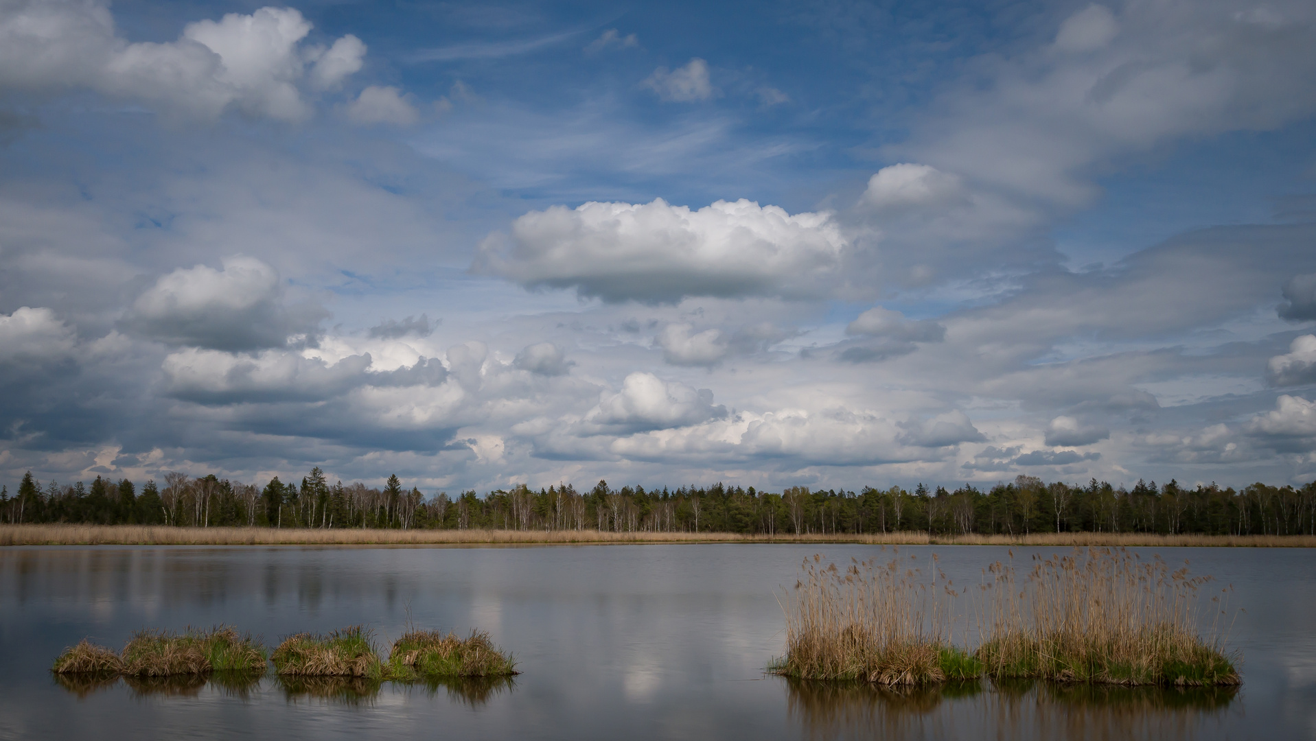 Riedsee/ Bad Wurzach