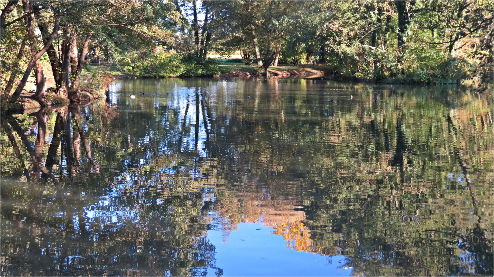 Riedsee im Herbstlicht 