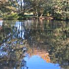 Riedsee im Herbstlicht 