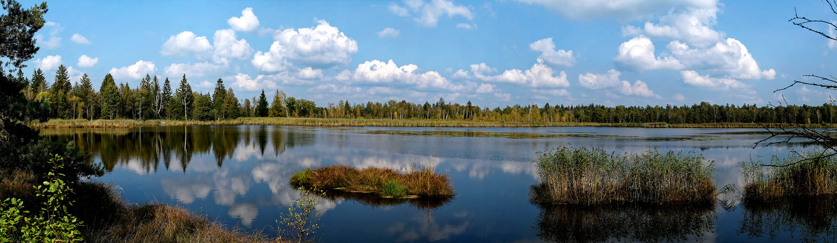 Riedsee-Panorama