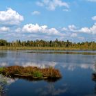 Riedsee-Panorama