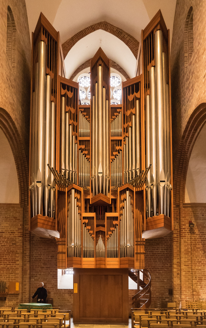 Rieger Orgel im Ratzeburger Dom