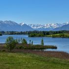 Riegsee / Oberbayern