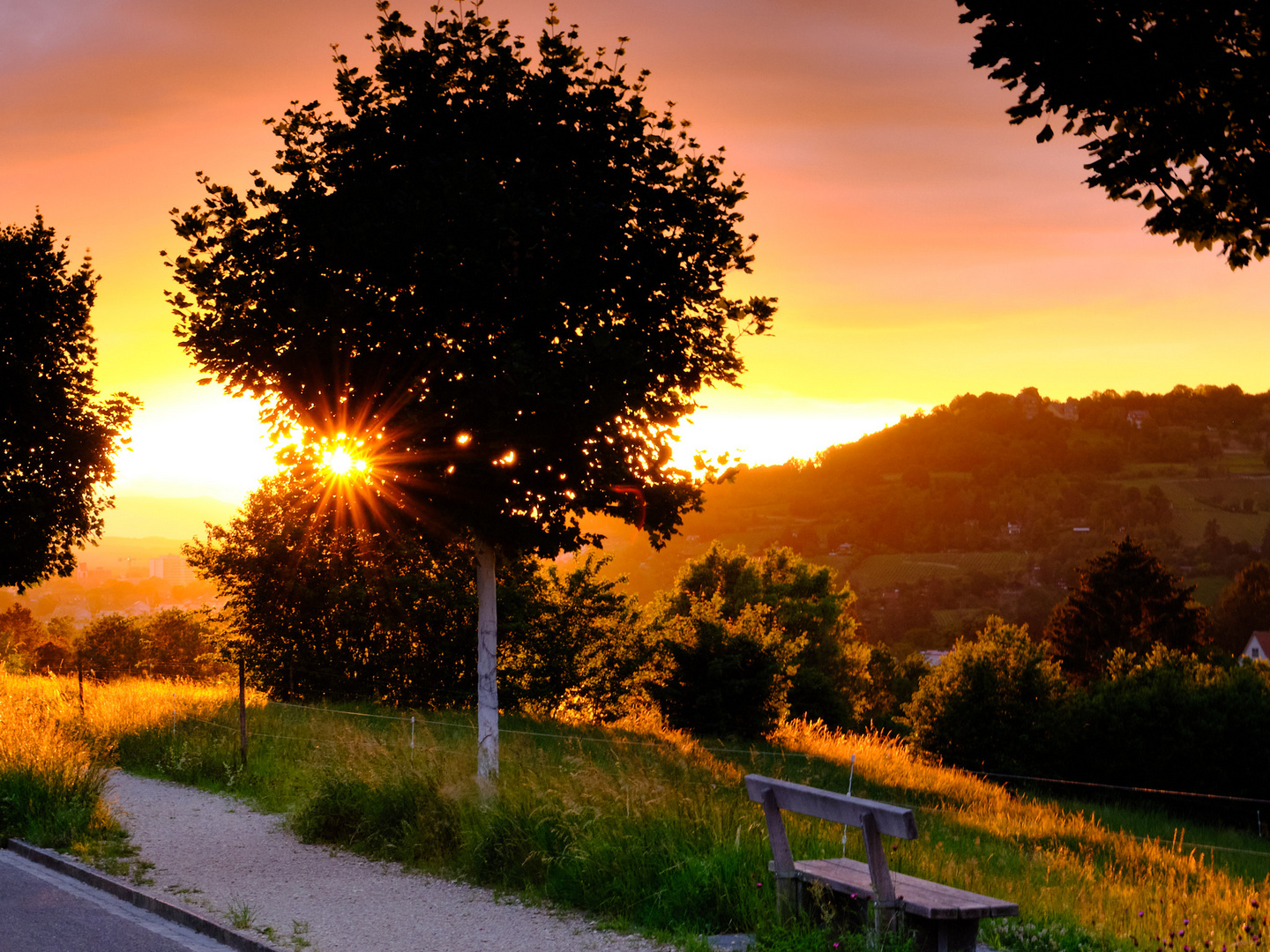 Riehen Sunset