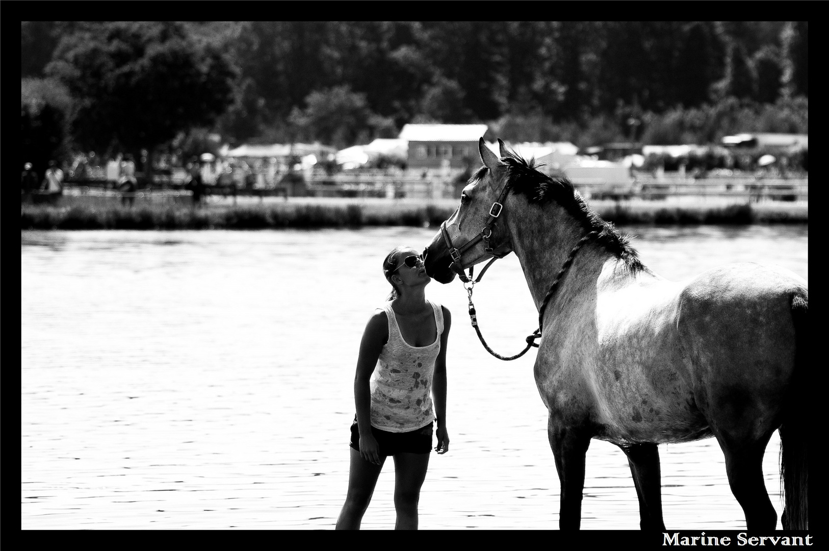 Rien de plus beau que l'union d'un cheval avec son cavalier