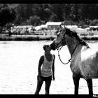 Rien de plus beau que l'union d'un cheval avec son cavalier