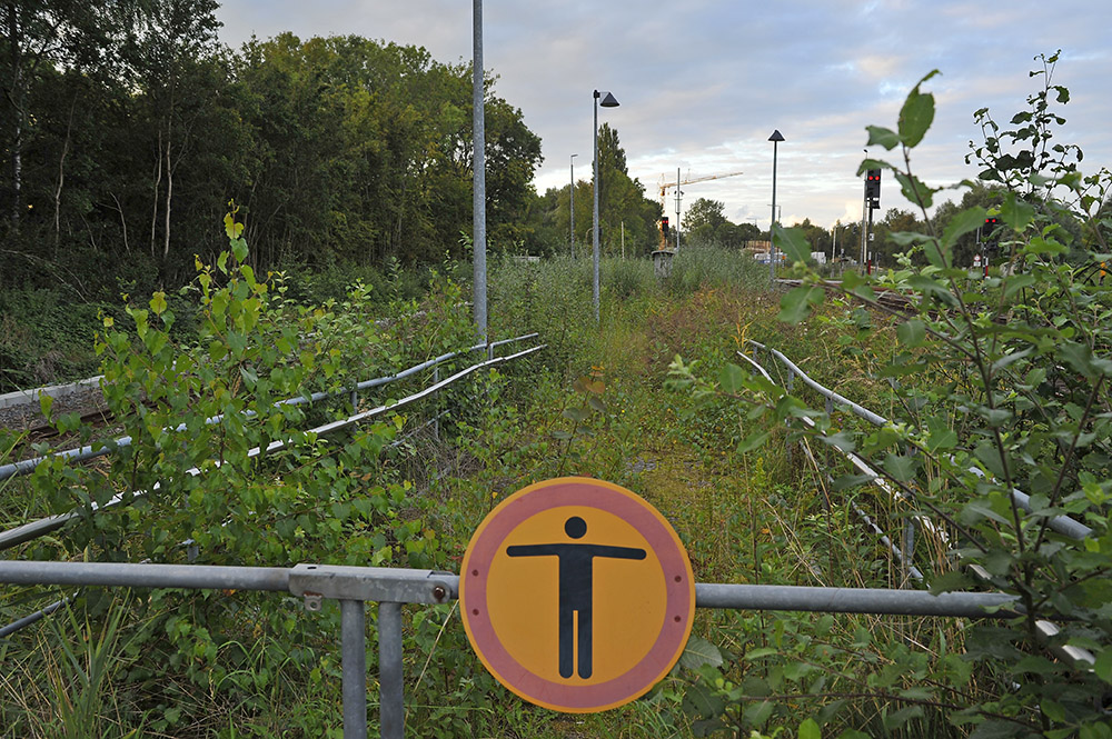 Rien ne va plus - Verwildertes Ende eines Bahnsteigs am Bf Sande (Kr. Friesland)