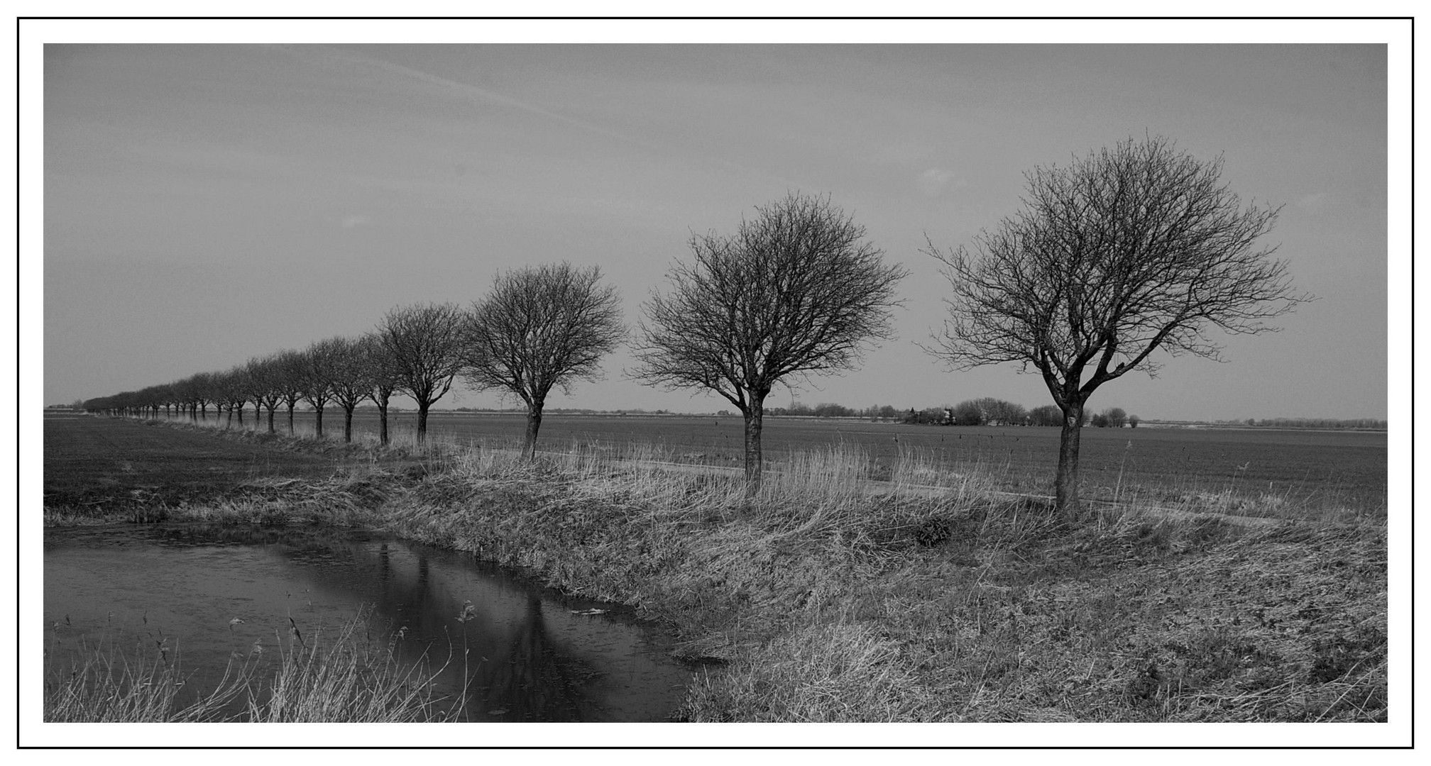 Riepe in Ostfriesland