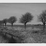 Riepe in Ostfriesland