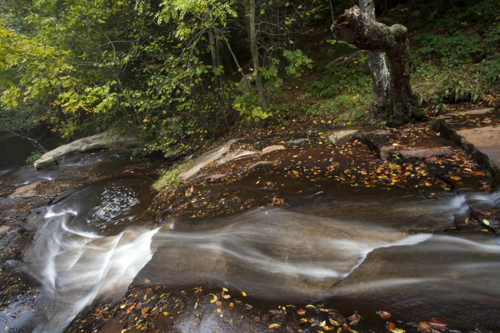 Riera de Santa Fe del Montseny