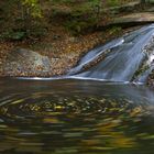 Riera de Santa Fe del Montseny