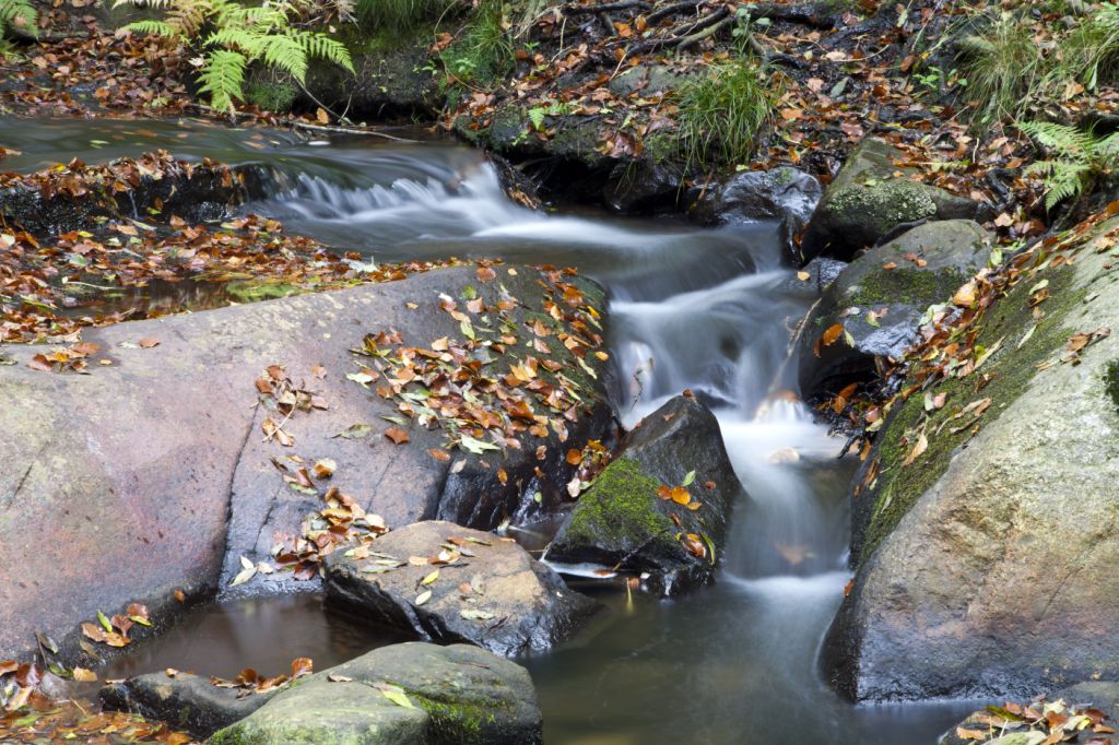 Riera de Santa Fe del Montseny2