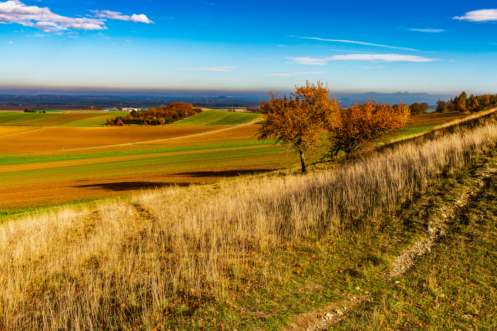 Riesblick