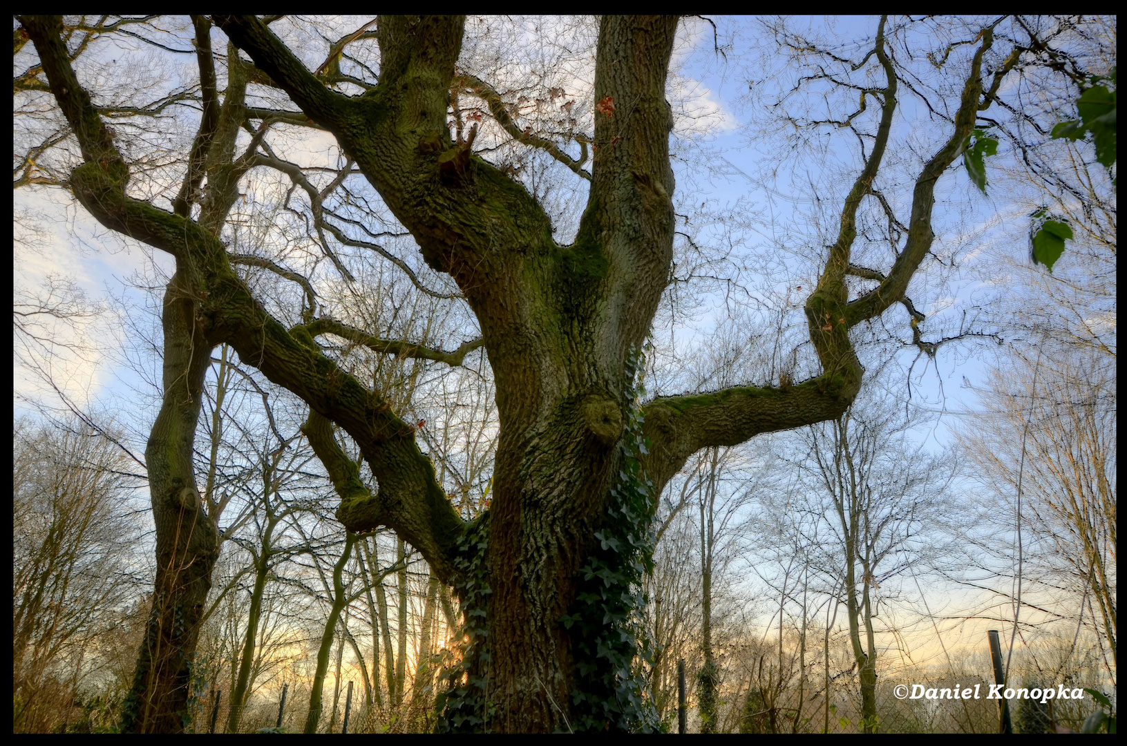 Riese - HDR mit Nikon D7000