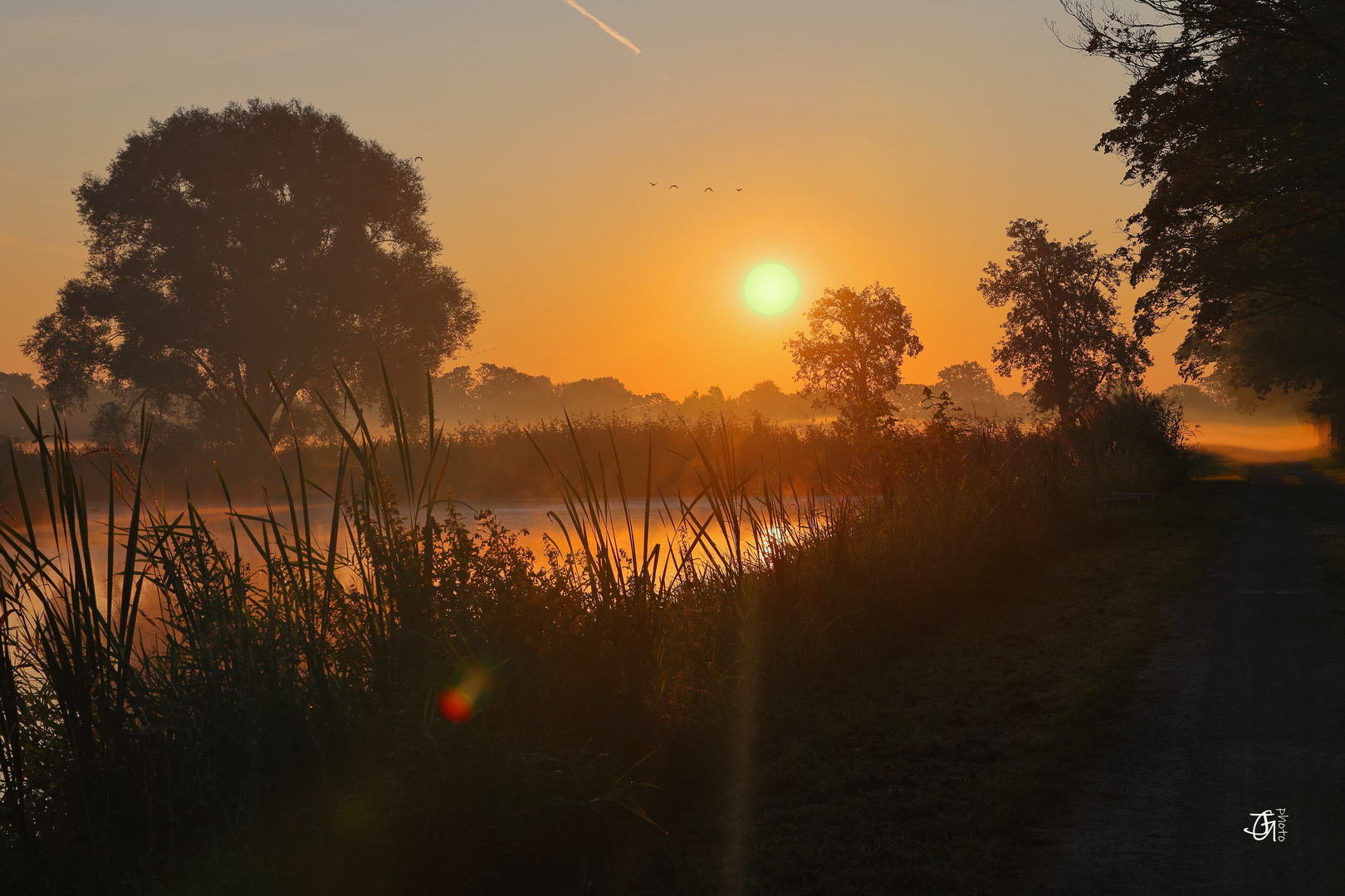 Rieselfelder an einem Morgen im August