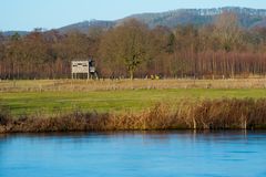 Rieselfelder bei Windelsbleiche