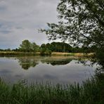 Rieselfelder Münster - Im Spiegel der Natur 