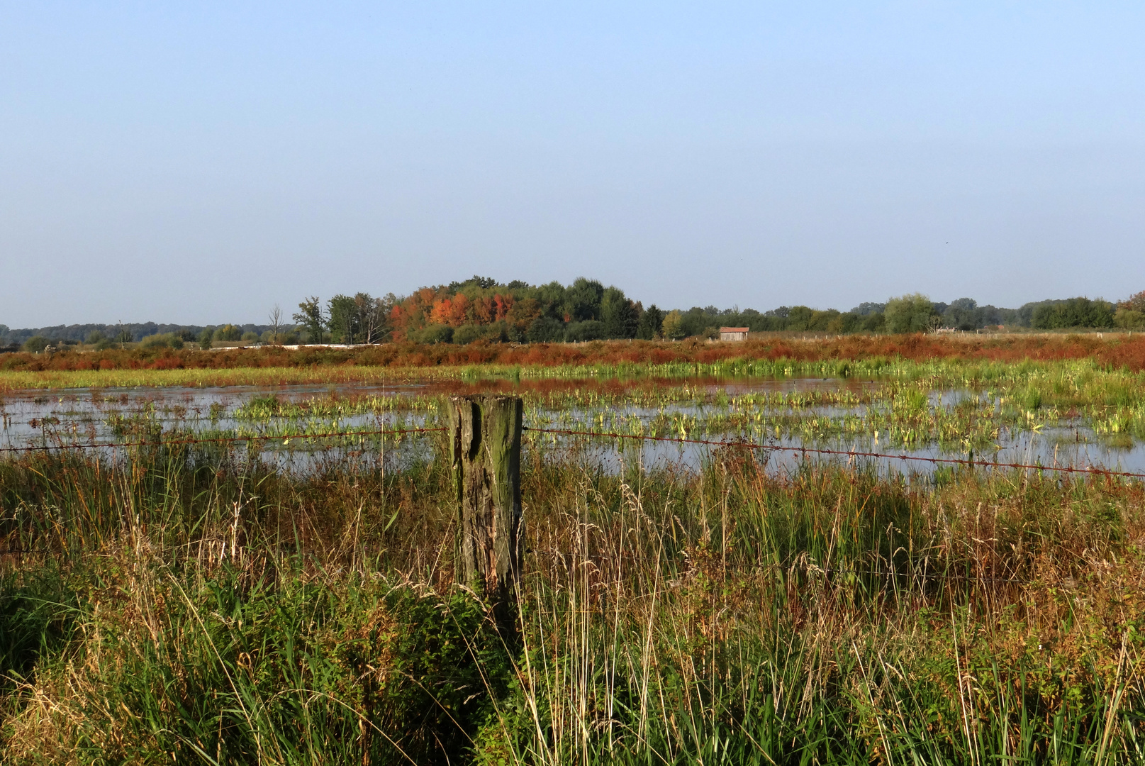 Rieselfelder, Naturimpressionen 2