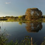 Rieselteich im Abendlicht