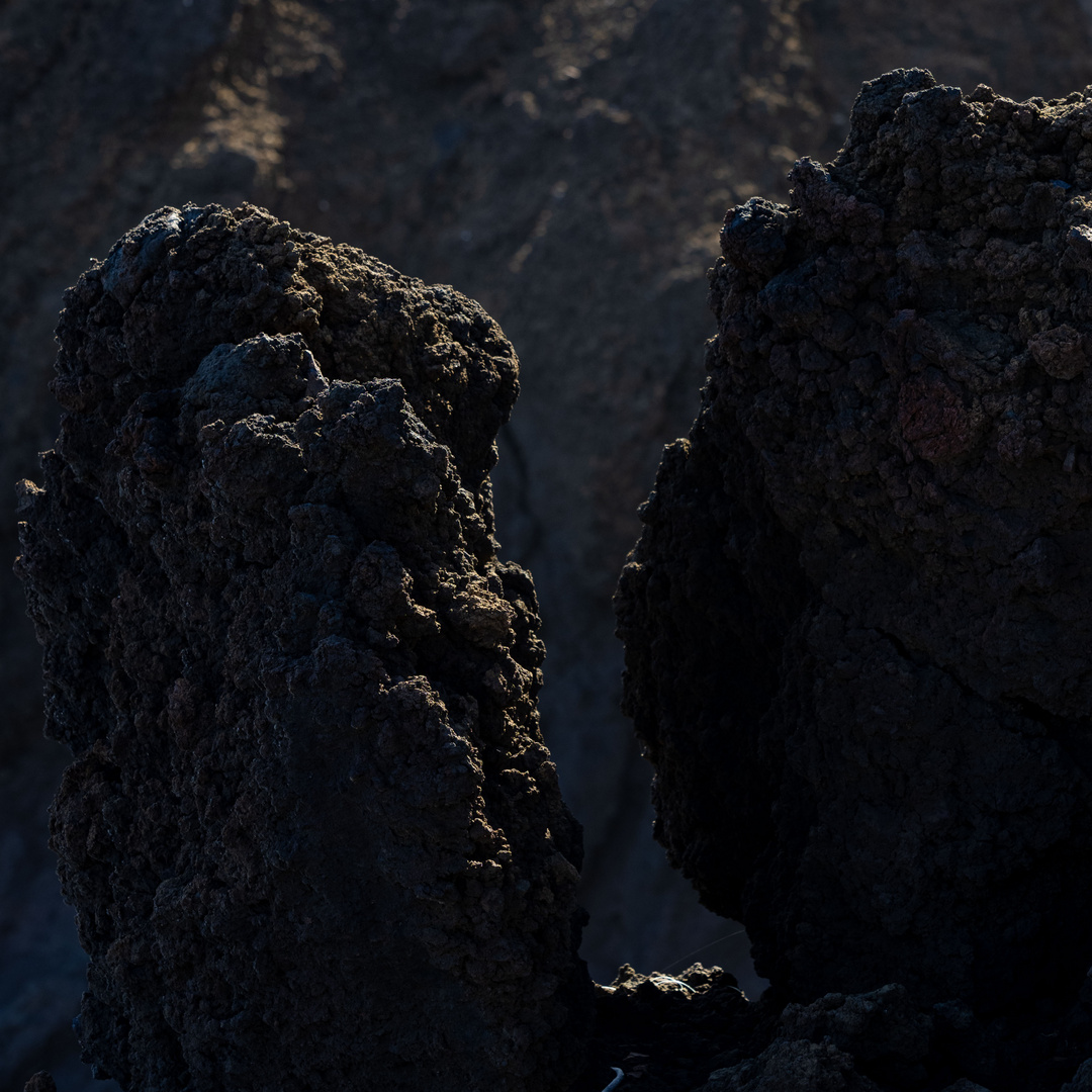 Riesen Foto & Bild europe, canary islands die kanaren, spain Bilder