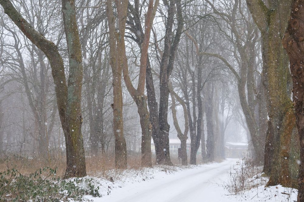 Riesen im Schnee