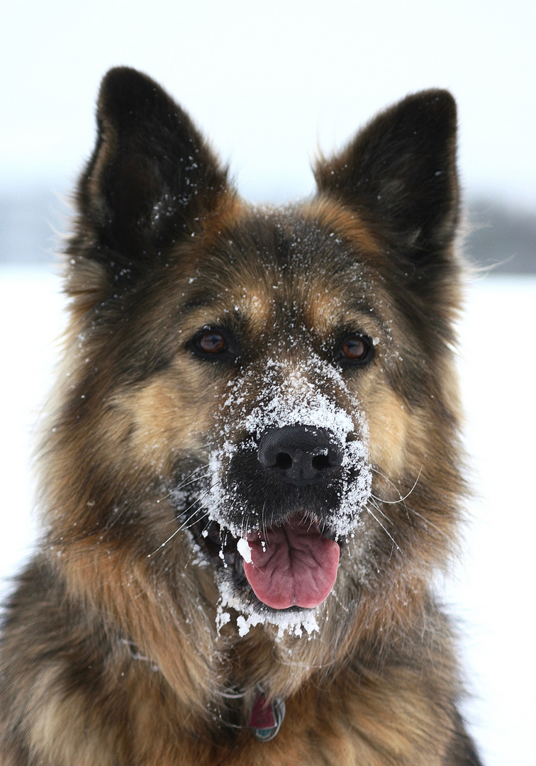 Riesenbaby im Schnee