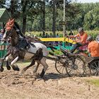 Riesenbeck bietet eine.....