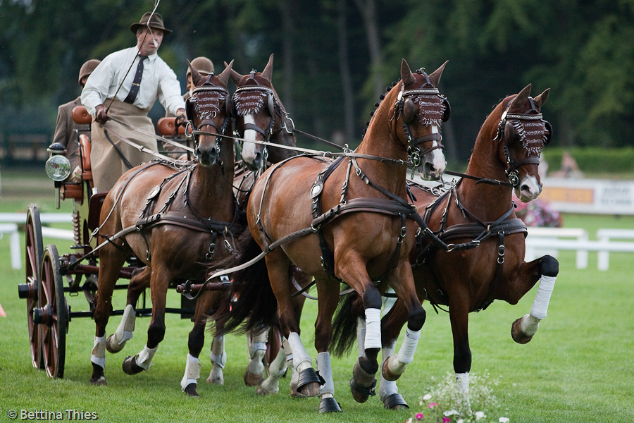 *Riesenbeck International 01. - 04.08. 2013