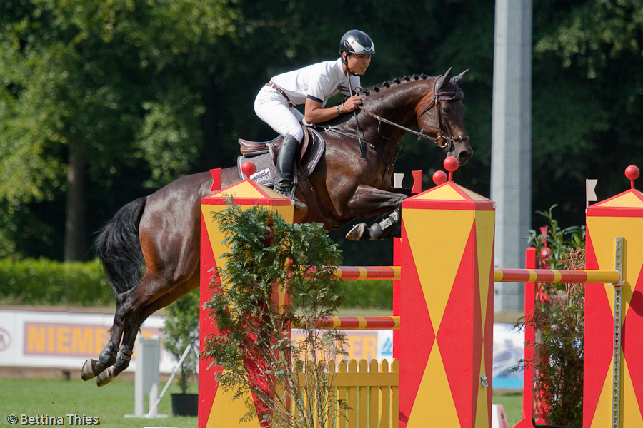 **Riesenbeck International 01. - 04.08.2013