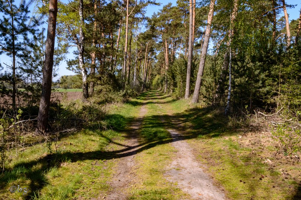 Riesenbeck NRW