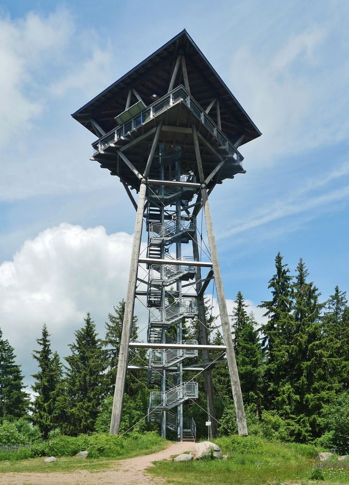 Riesenbühl - Turm