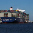 Riesencontainer im Hamburger Hafen