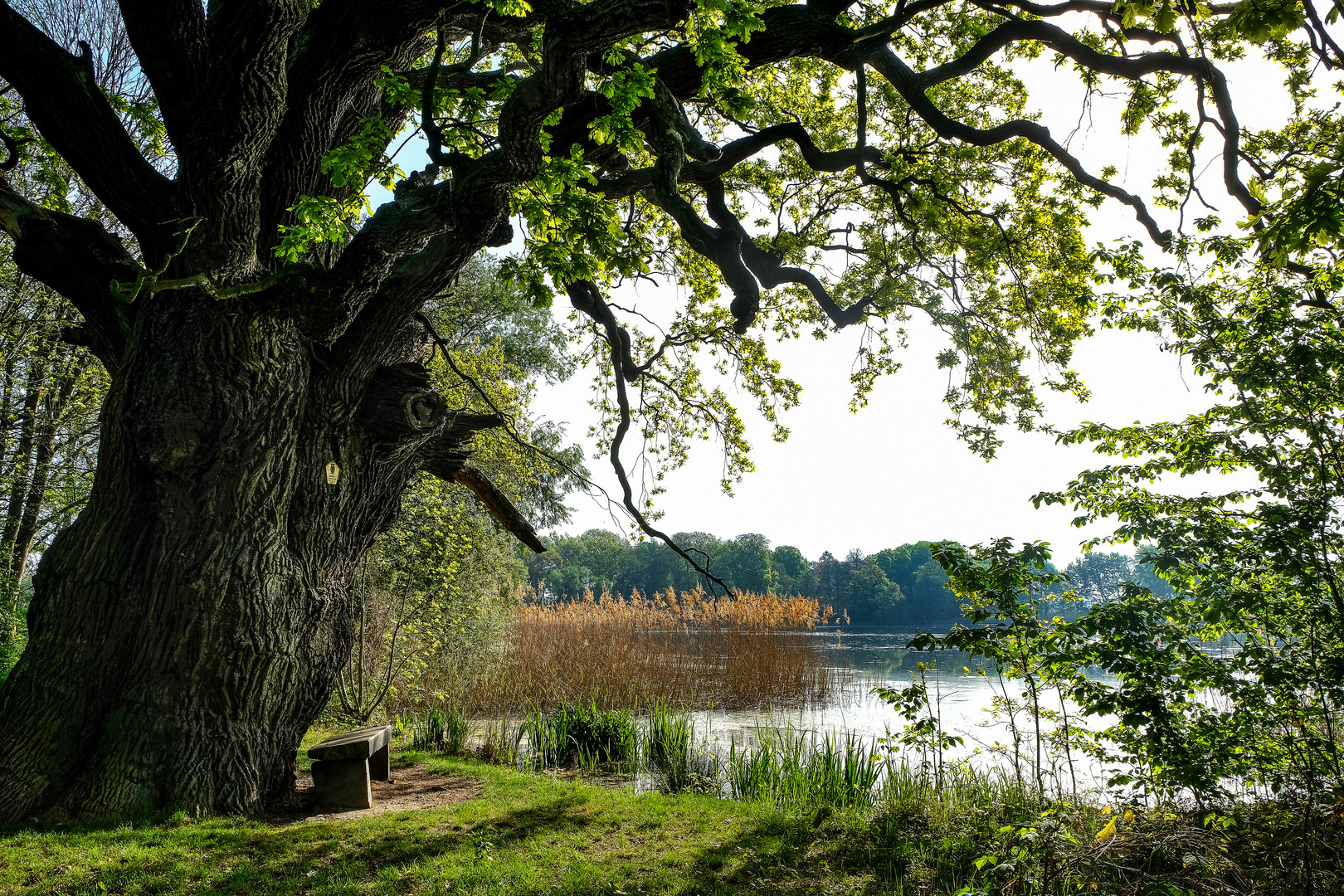 48+ Niedergurig Teiche, In niedergurig wenden wir uns nordwärts nach