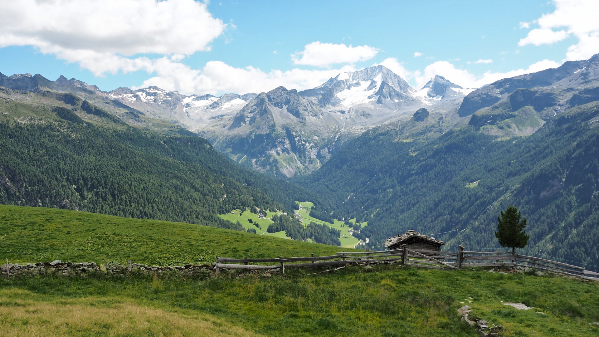 Riesenfernergruppe