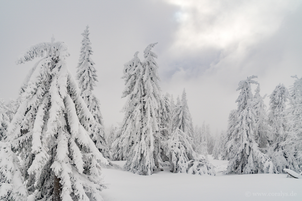 Riesengebirge (01)