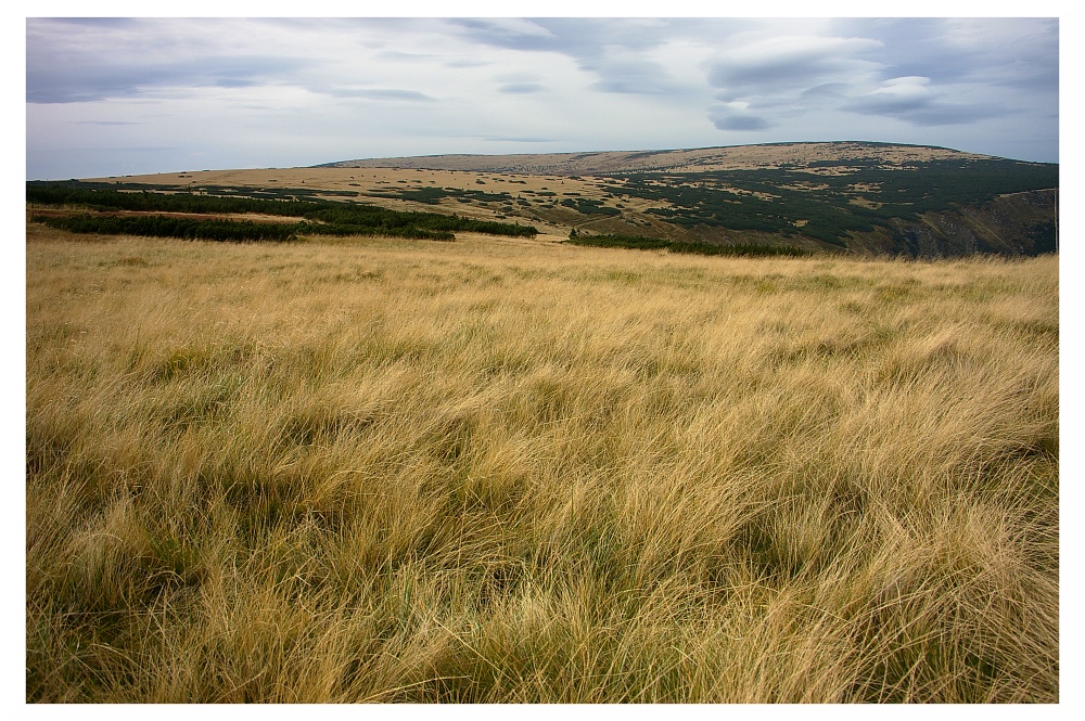 Riesengebirge