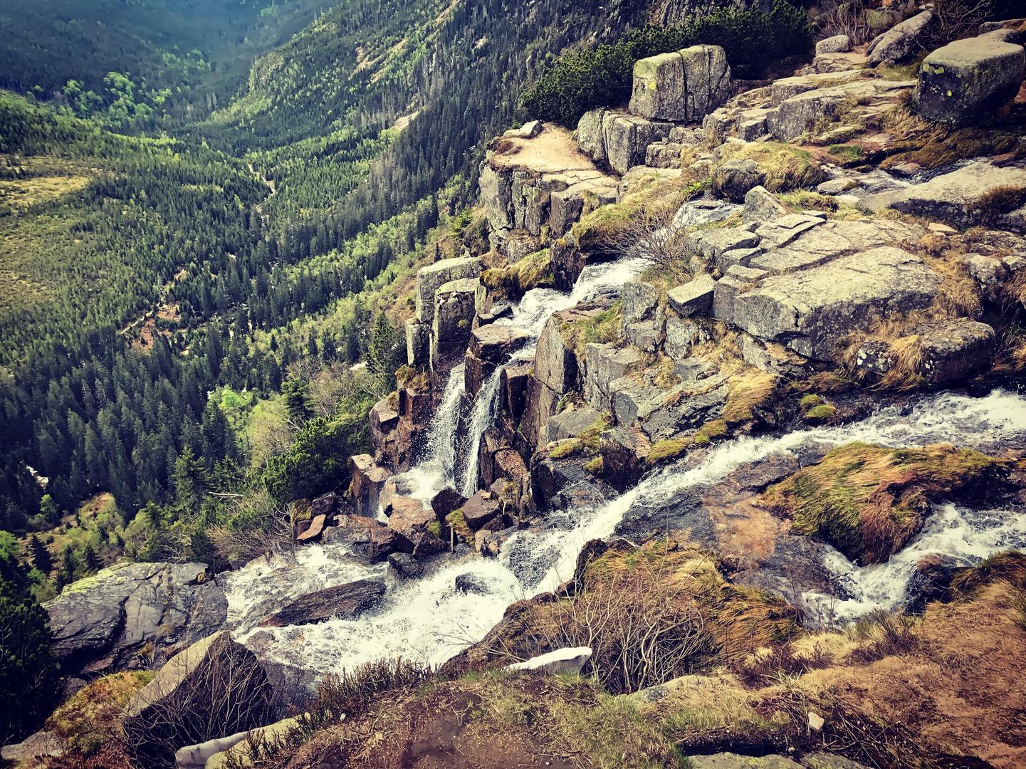 Riesengebirge / Elbquelle