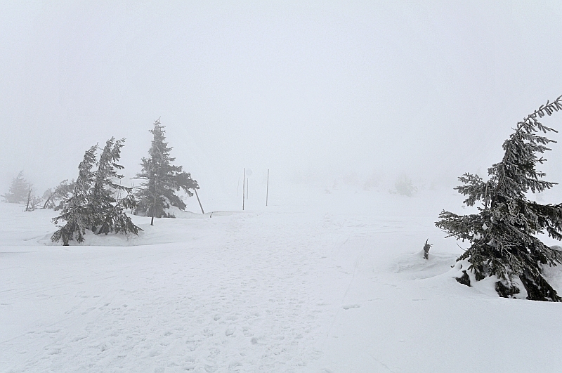 Riesengebirgskammweg bei Nebel